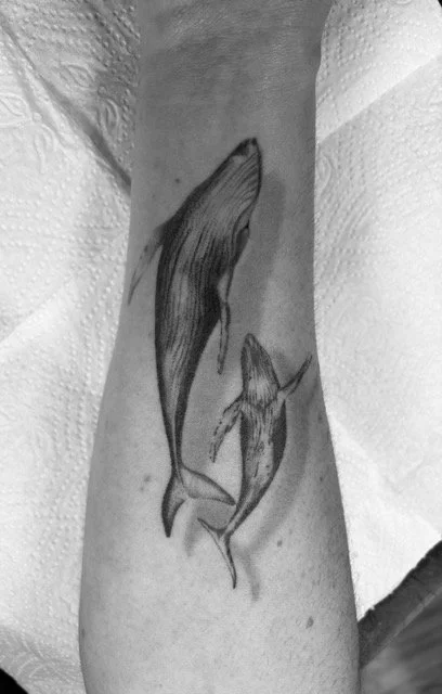 whale tattoo done by Samuel testa at banjaxed ink irelands best tattoo studio dublin ireland