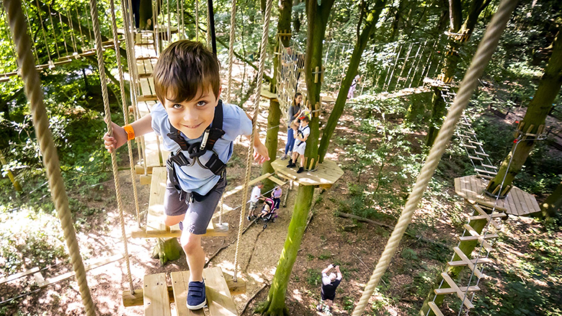 Go-Ape-Normanby-Banner.jpg