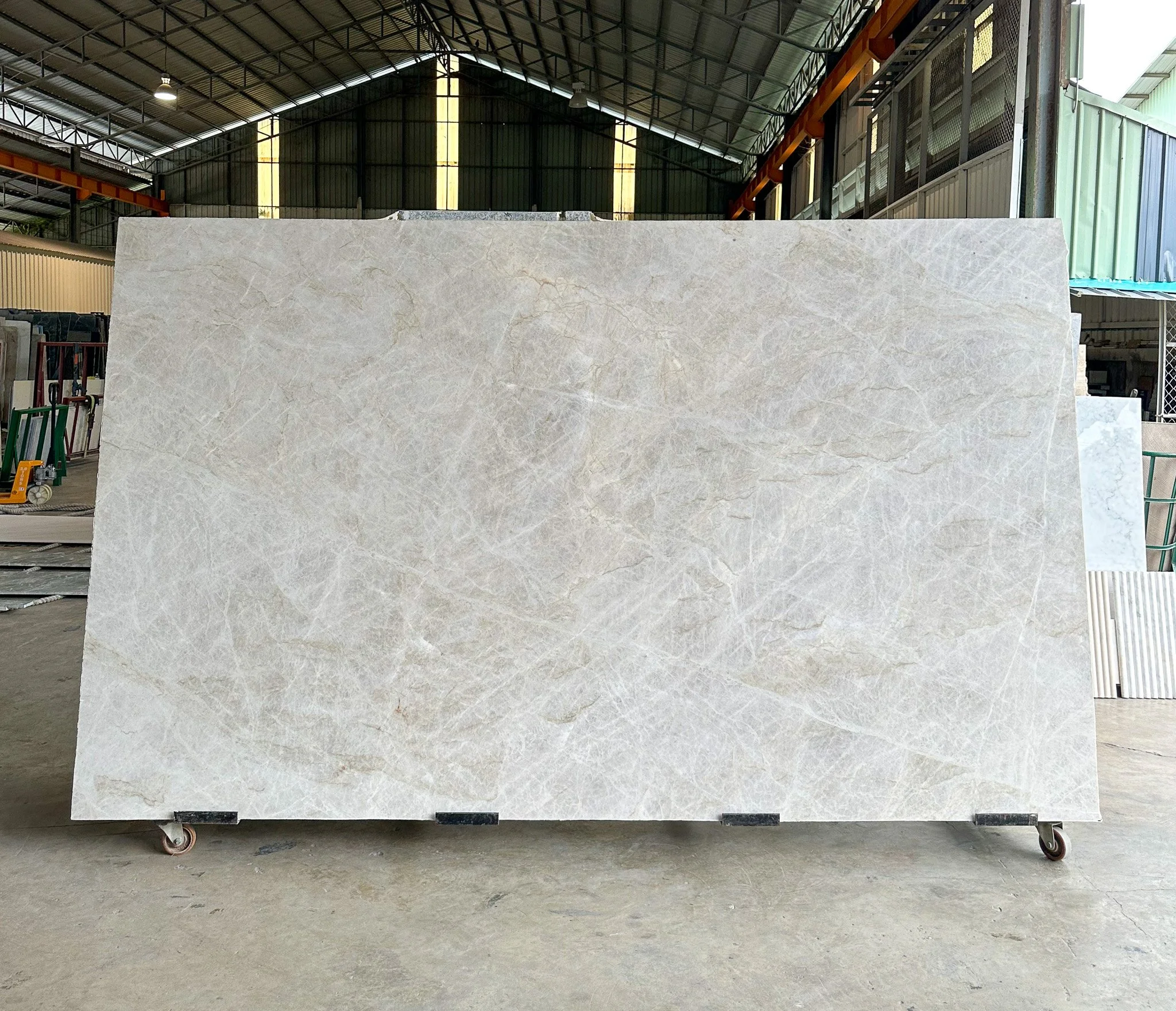 Taj Mahal Quartzite #824