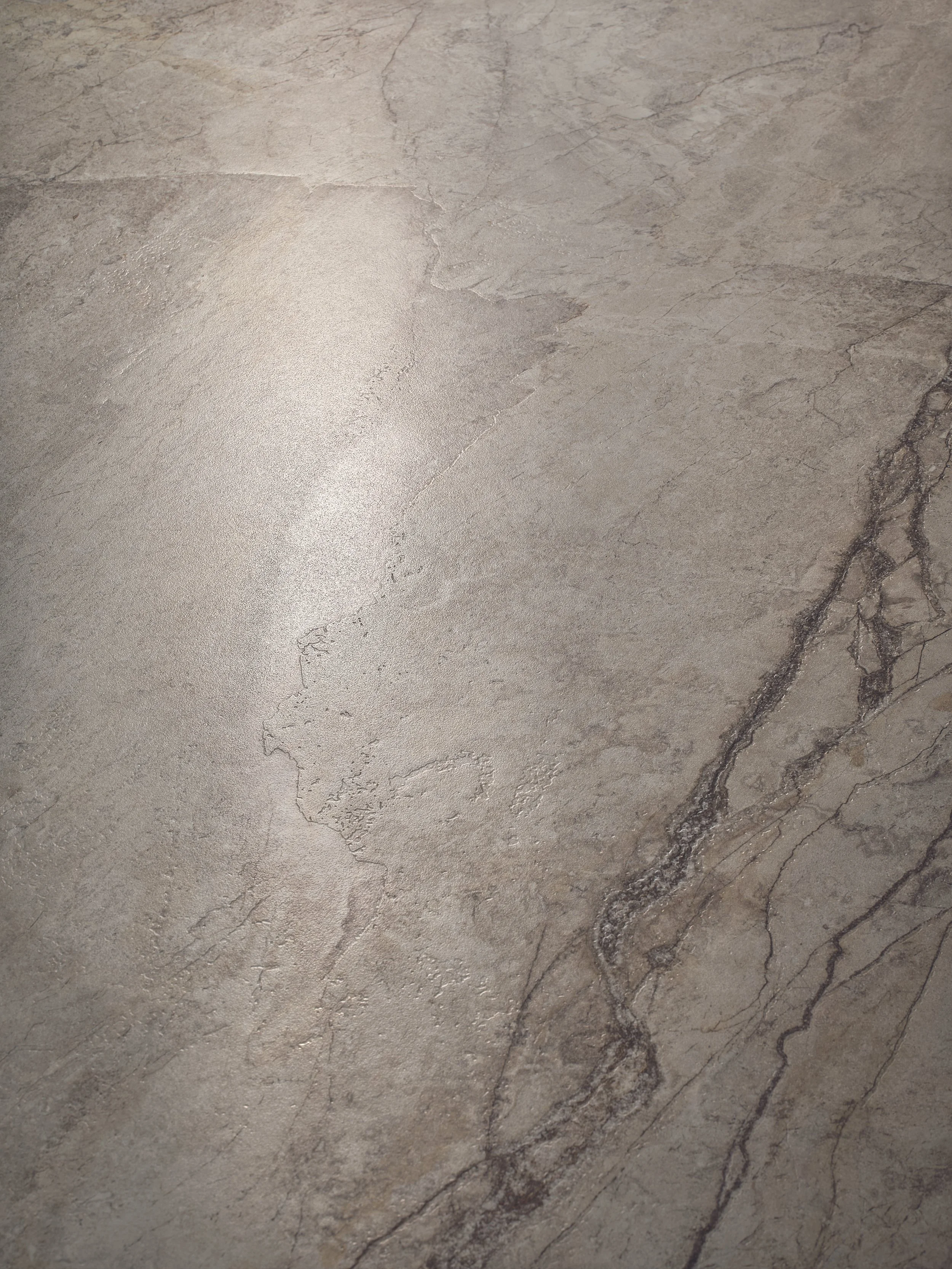 Level SilverRootLight Marcro Brushed.jpg