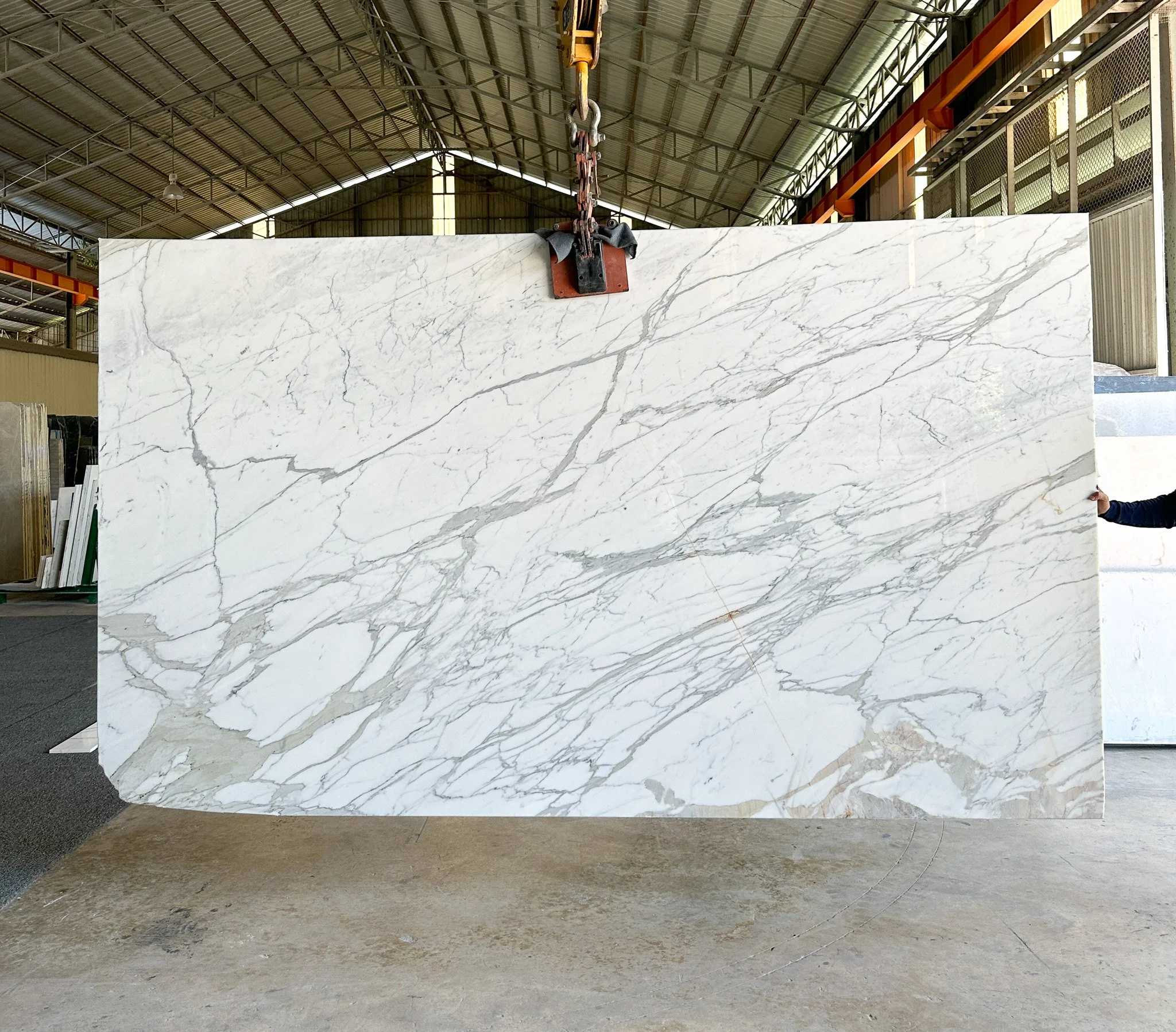 Calacatta Lastra #201524_9.jpg