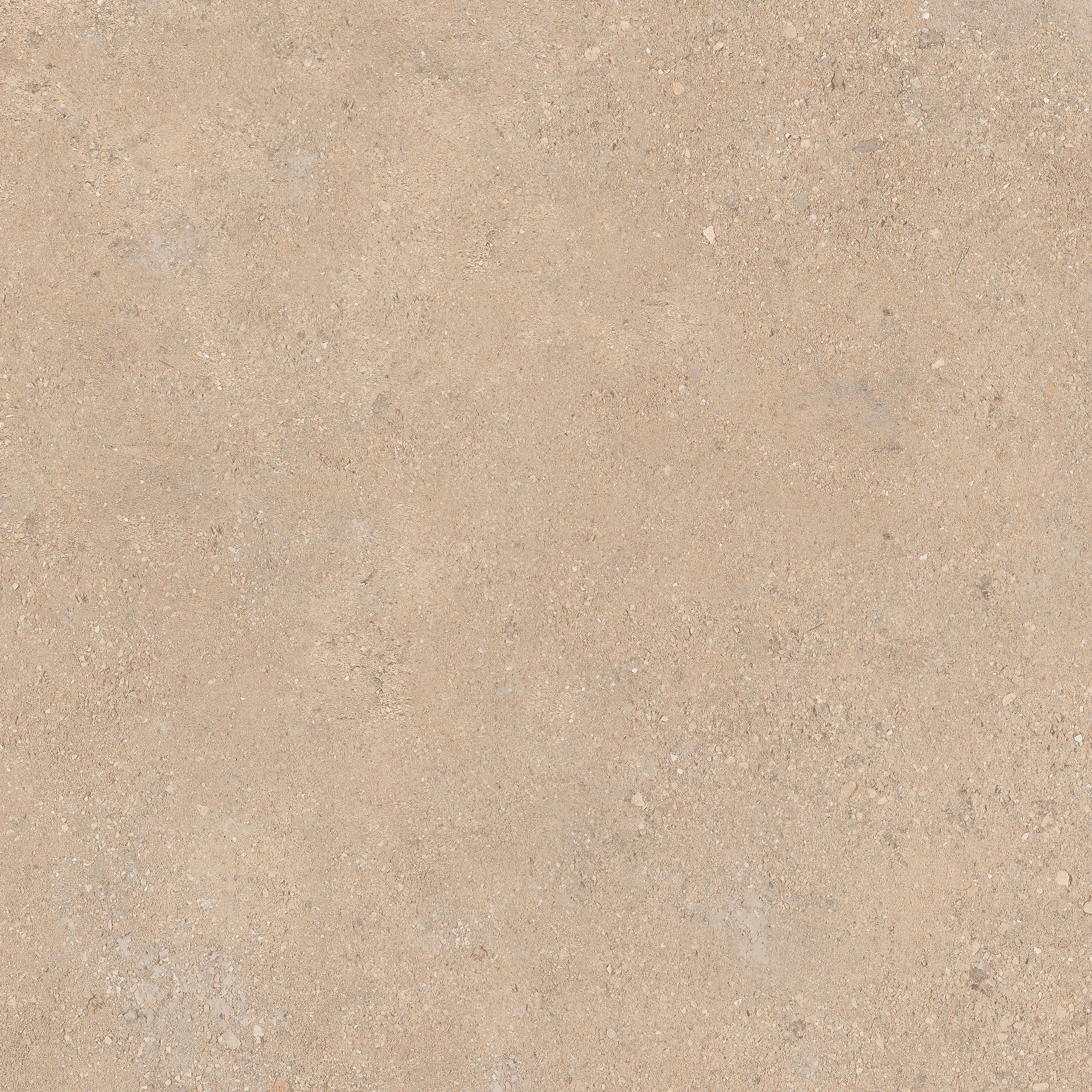 DUO BACK SAND 9090_03.jpg