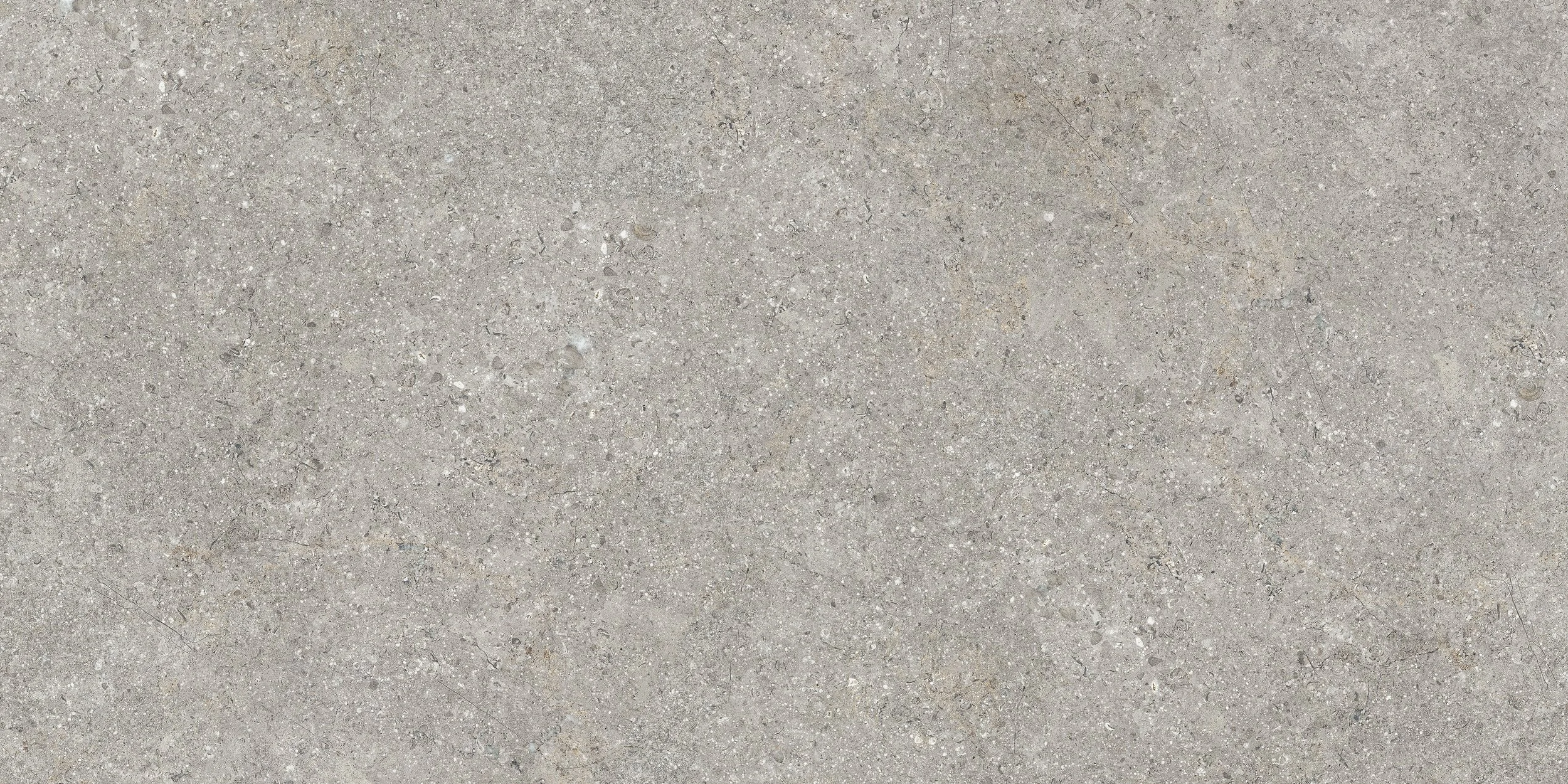 BARSOOM  TAUPE-M-01.jpg