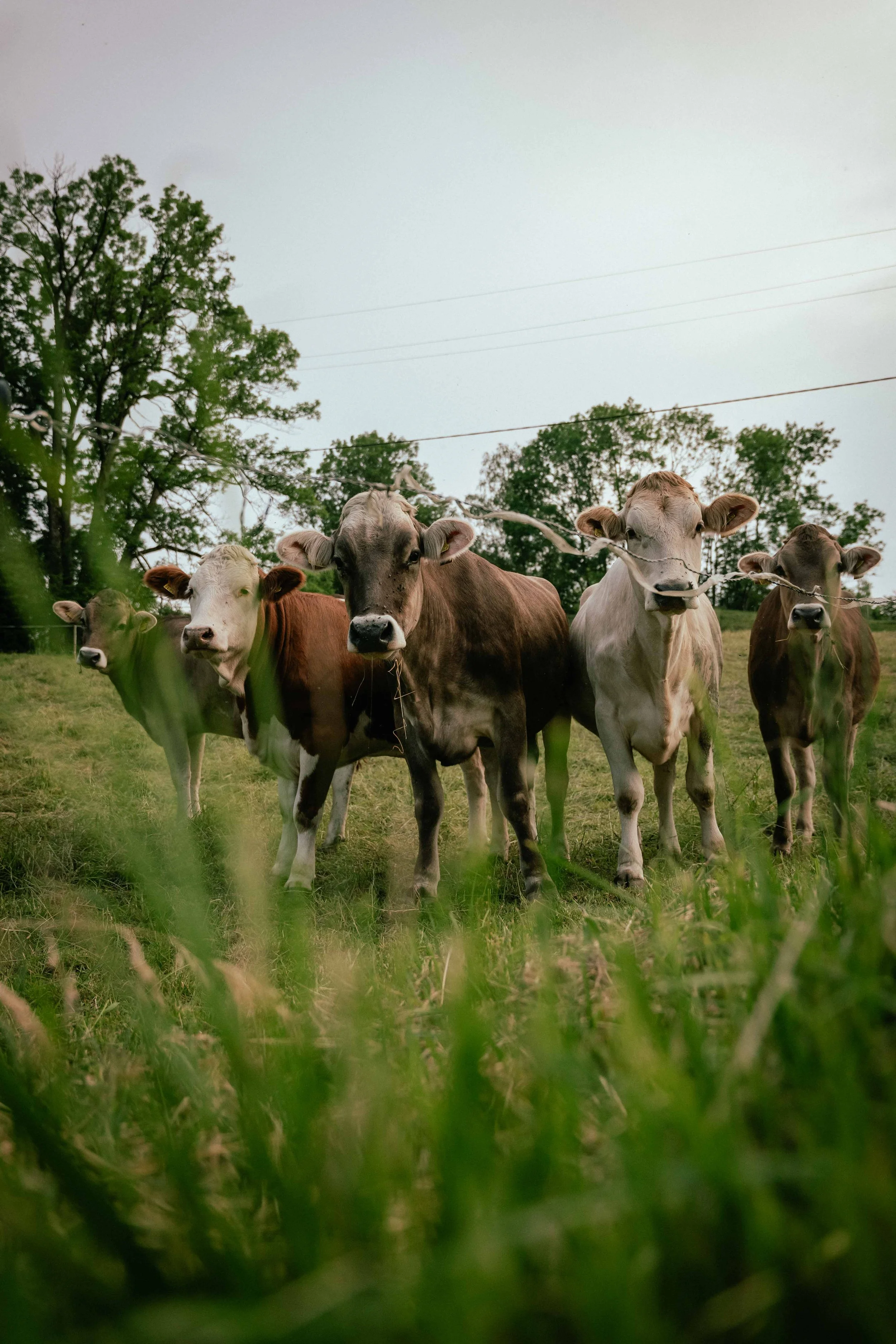 connect with nature at out of office creative retreat for women