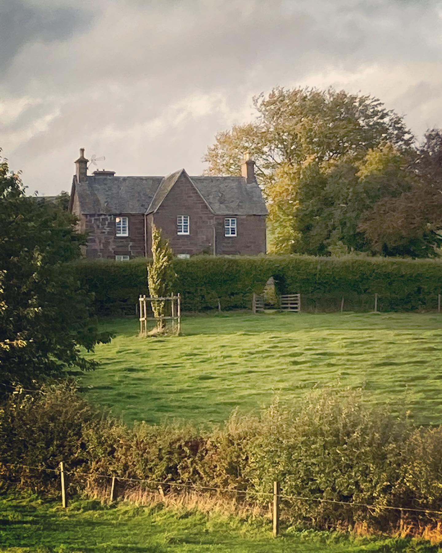 🏴󠁧󠁢󠁳󠁣󠁴󠁿🐃Autumn at Drumphin #scottishfarmer #perthshire #scottishfarminglife