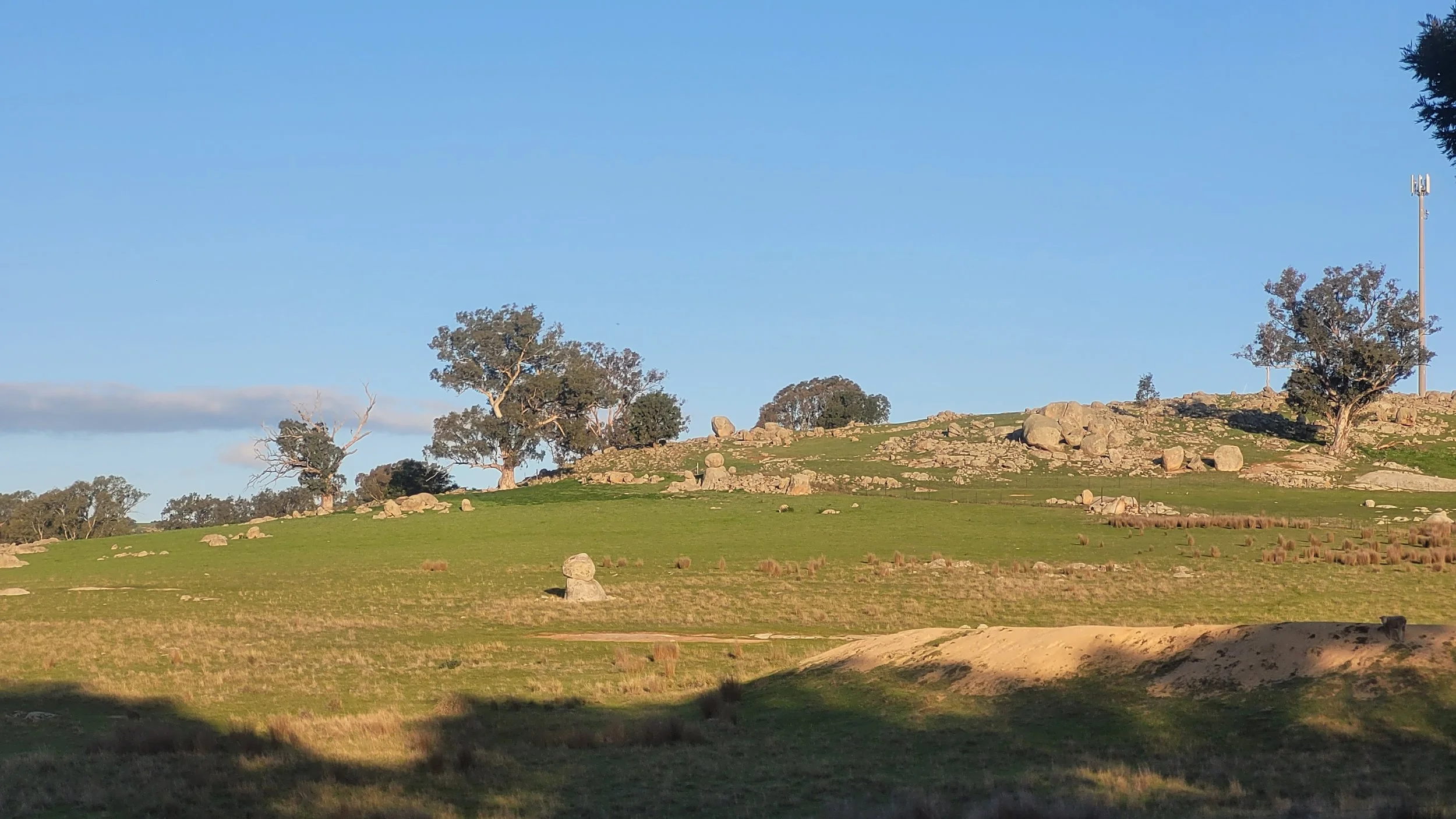 A grassy hillside with a few large rocks and trees, under a clear blue sky, with a communication tower and some clouds in the background.