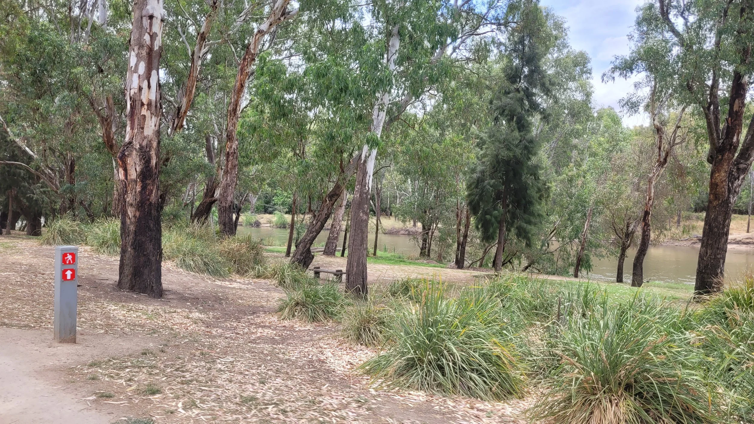 A natural park scene with trees along a dirt pathway near a river, featuring a sign with a running man and upward arrow.