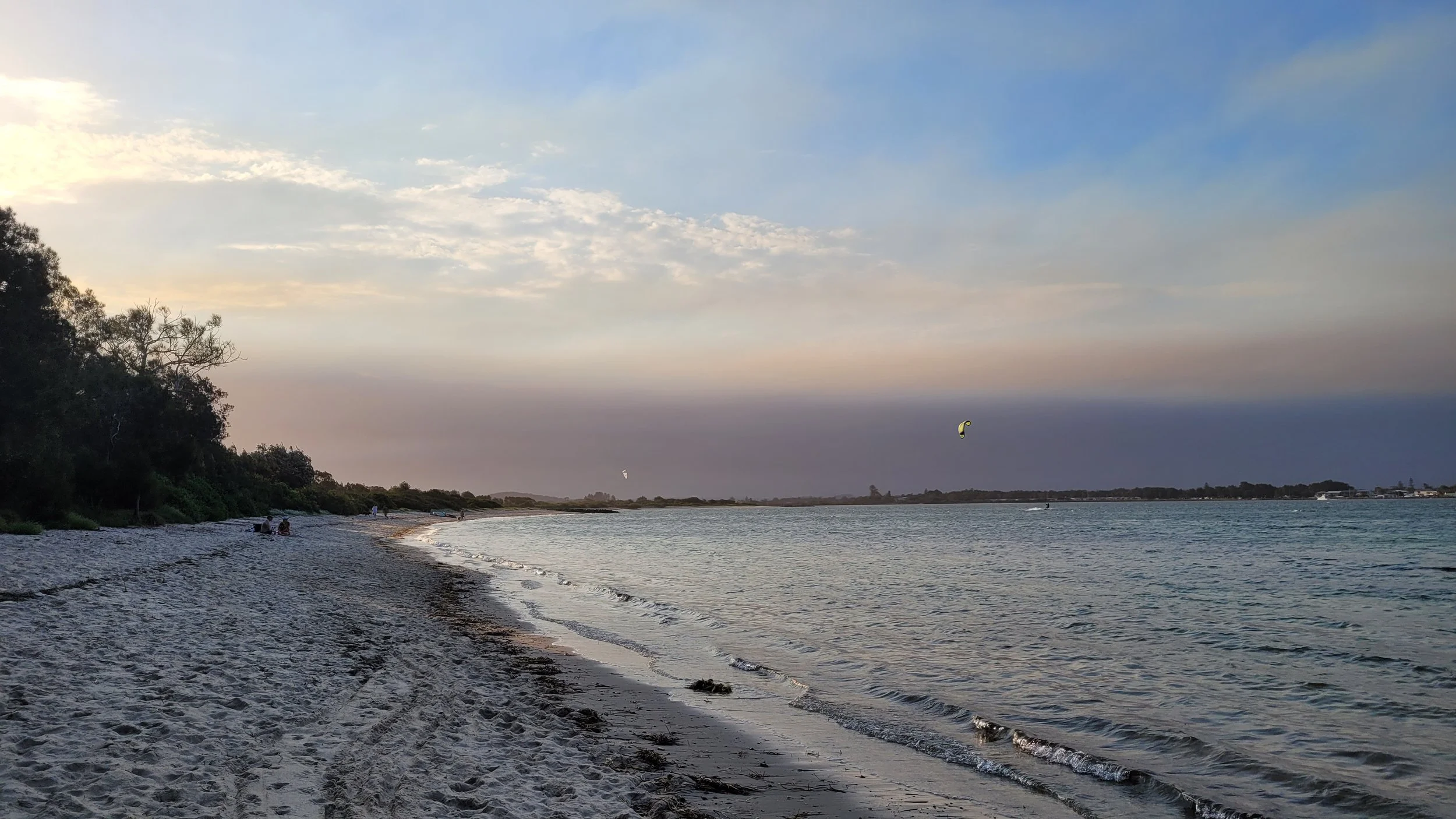 Beach with sandy shoreline, trees on the left, calm water, and kite surfers in the distance during sunset or sunrise.