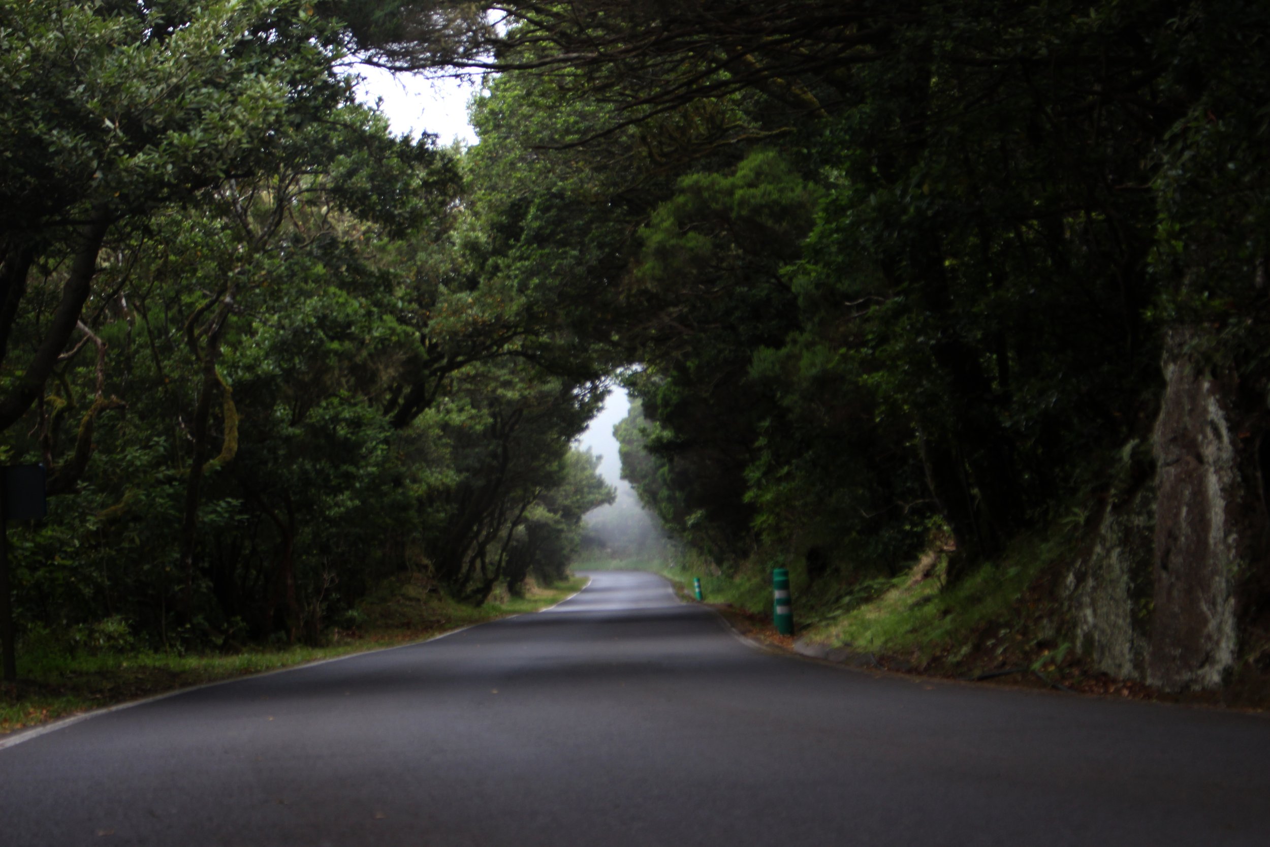 Explorando el Paraíso Natural: 3 Increíbles Caminatas en Tenerife