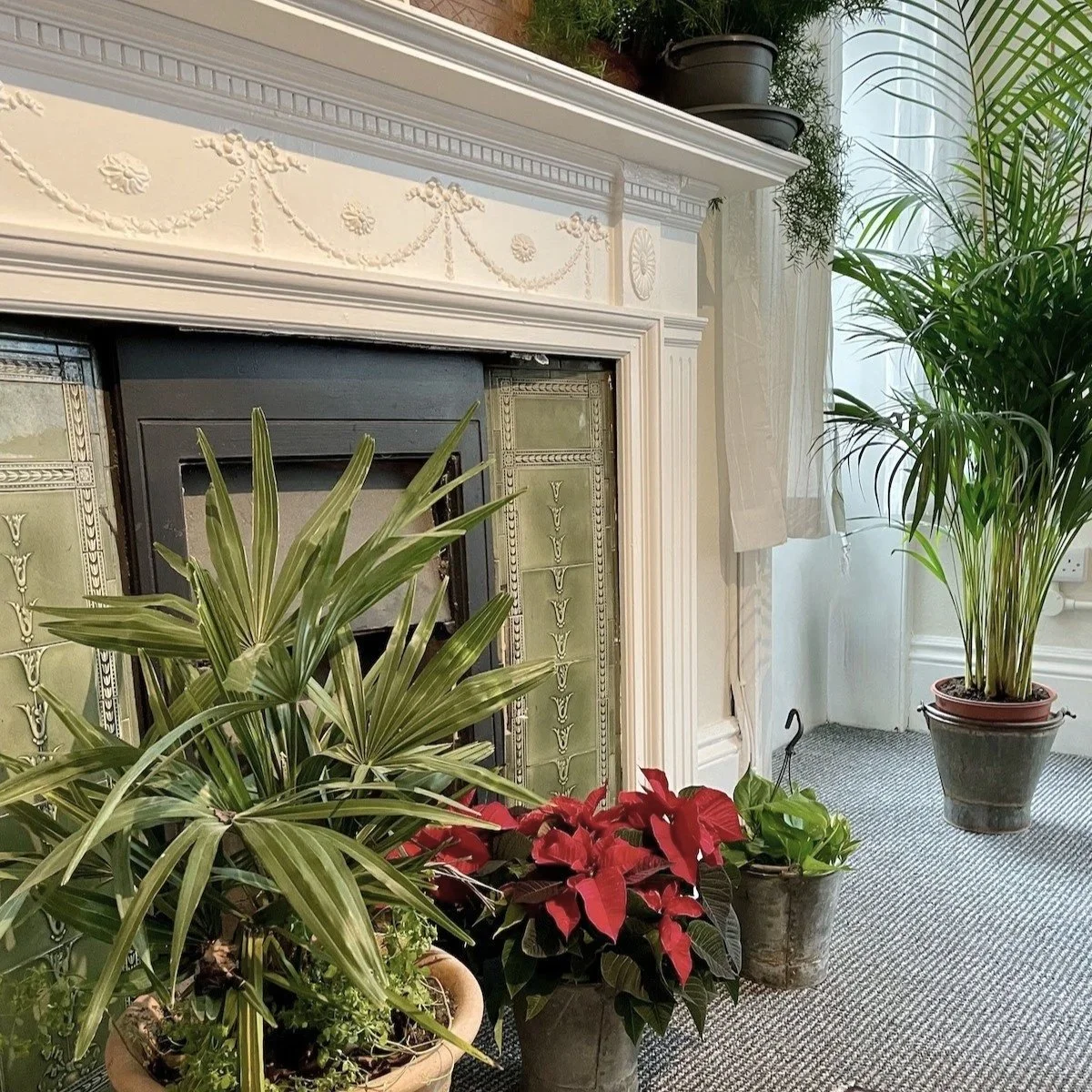 Interior of Victoria Ellen's therapy room on Ship Street. With a decorative white fireplace mantel, surrounded by three potted plants including a large palm and poinsettia, and a carpeted floor.