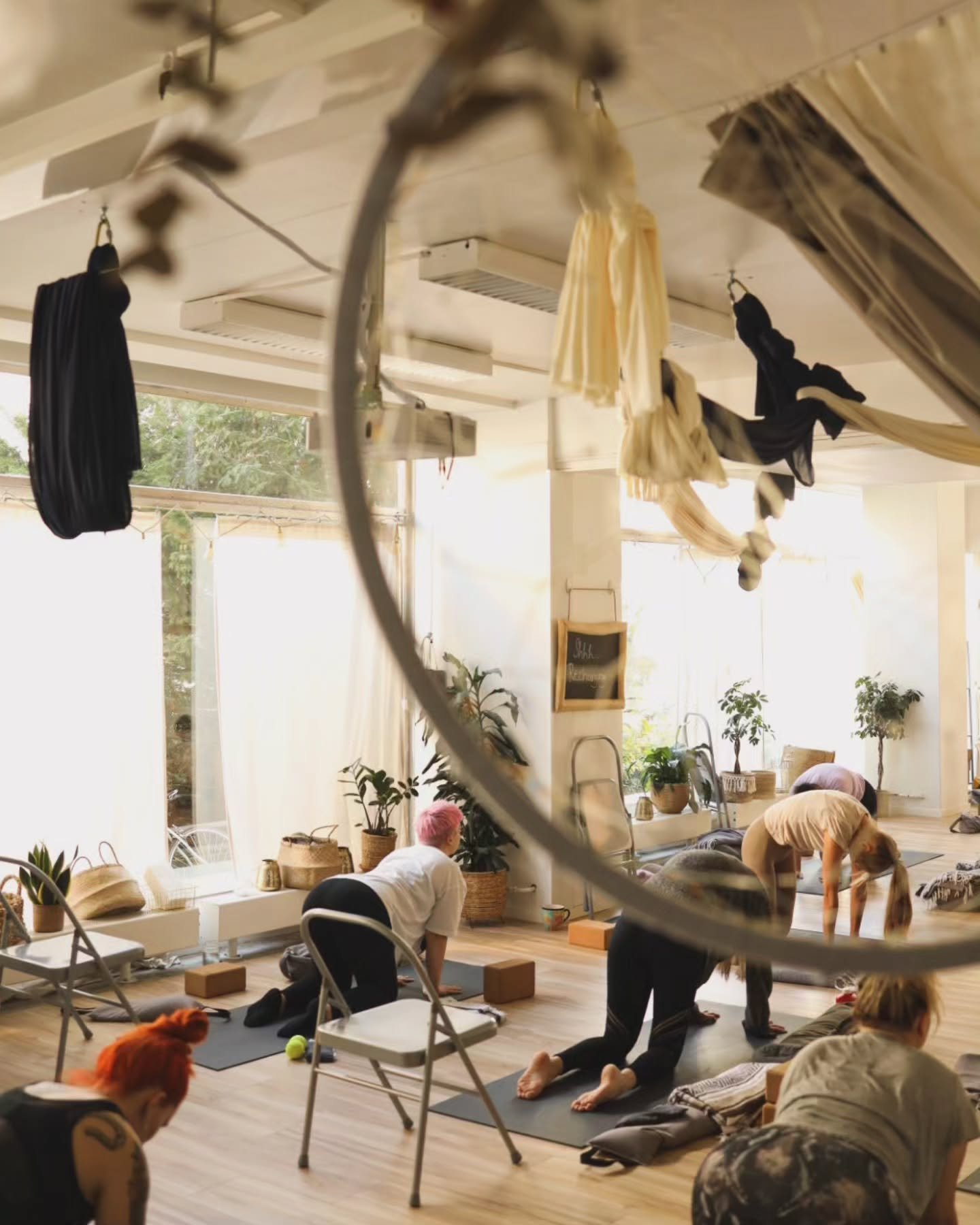 Maanantai &lt;3 Pranama

KALLIO ✨

16-17 | lempe&auml; aerial | Mariele
17.30-18.30 | yinyasa | Nina
19-20 | &auml;&auml;nimalja yin | Nina

#pranamahelsinki #pranamajooga #joogahelsinki #joogasuomi #jooga