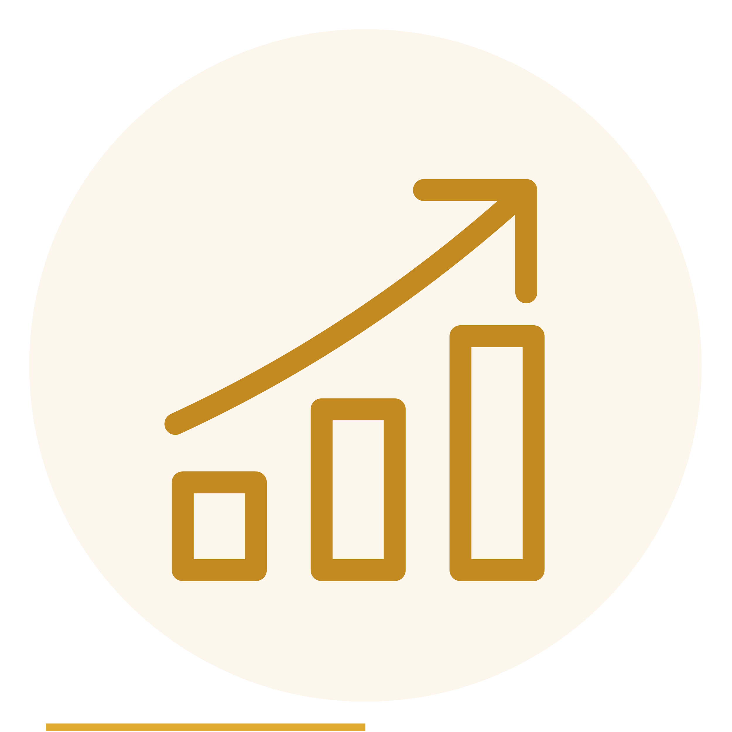 Chief Financial Officer and Chief Operations Officer placement services.