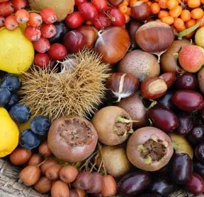 Botanica in settembre?