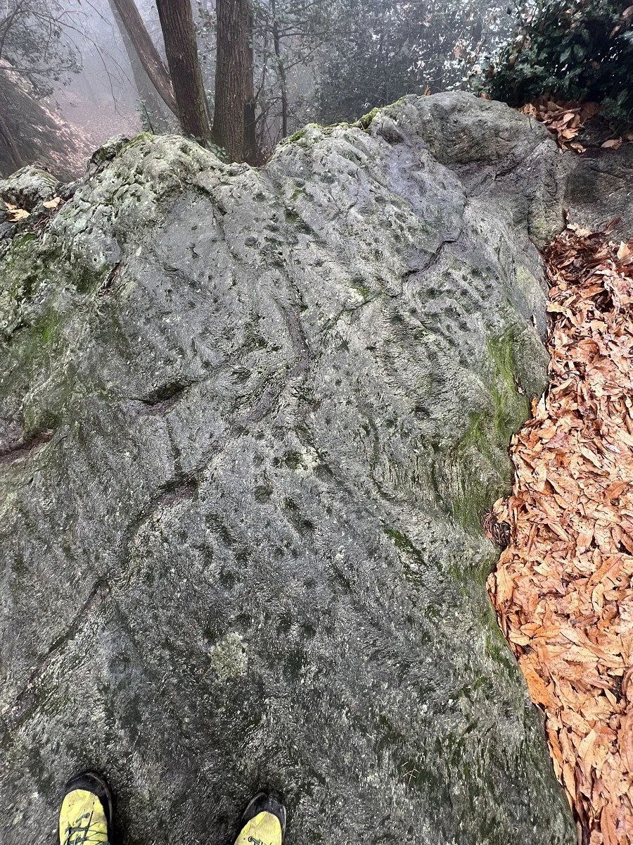 Incisioni rupestri nel Malcantone
