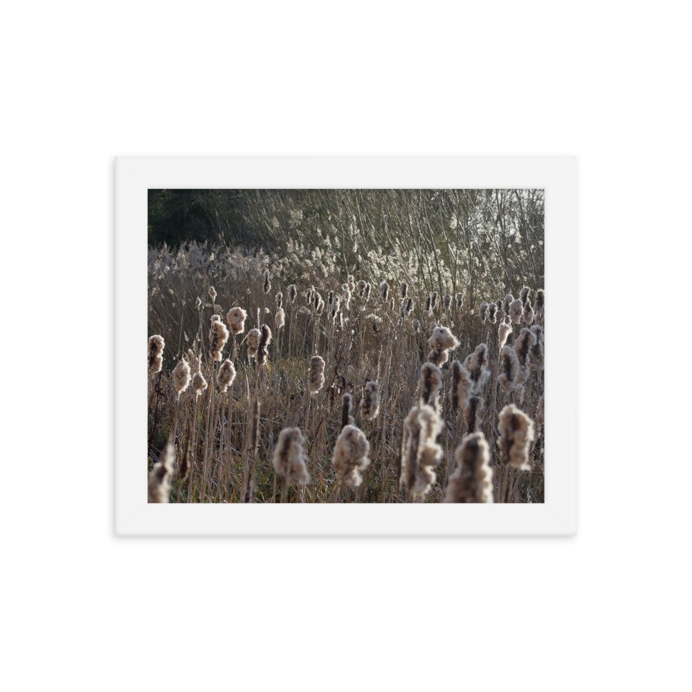 enhanced-matte-paper-framed-poster-(in)-white-8x10-transparent-63fcd6f681320.jpg