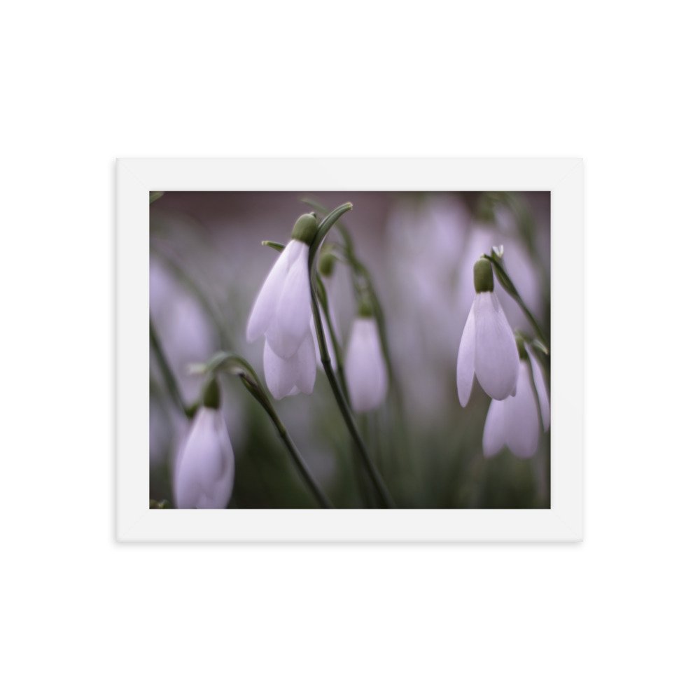 enhanced-matte-paper-framed-poster-(in)-white-8x10-transparent-64046dbb63674.jpg