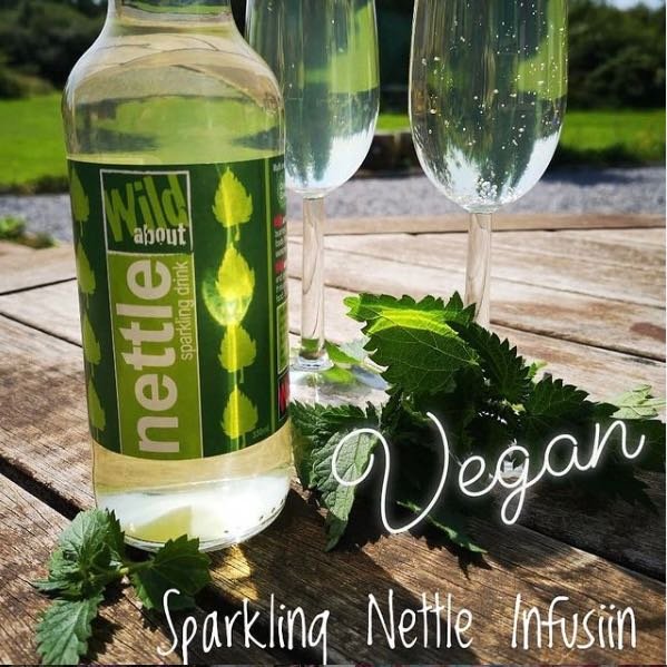 Wild about Refreshing Sparkling Nettle Drink Superfood Irish Artisan
