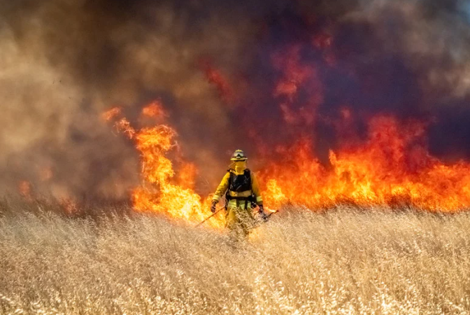 Wildfire destroying H2A Program crops