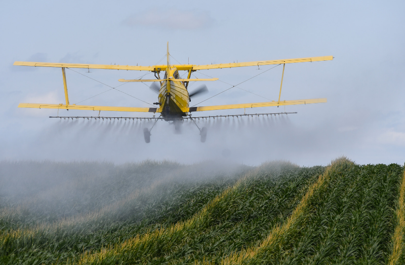 Farm Labor Contractor participating in the H2A Program