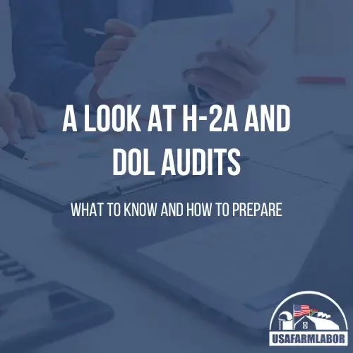 A Look at H-2A and DOL Audits: What to Know and How to Prepare