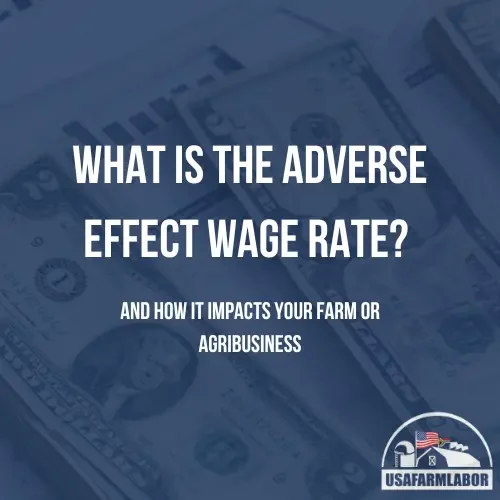 What is the Adverse Effect Wage Rate and How it Impacts Your Farm or Agribusiness?
