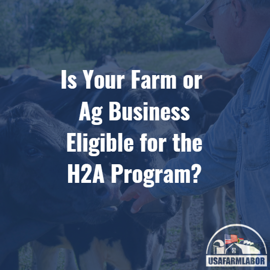 Is Your Farm or Ag Business Eligible for the H2A Program?