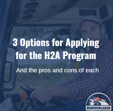 Your 3 Options for Applying for the H2A Program