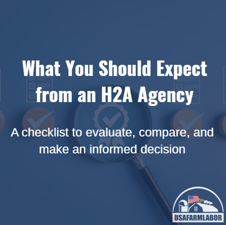 What You Should Expect from an H2A Agency