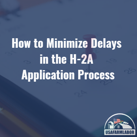How to Minimize Delays in the H-2A Application Process