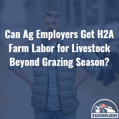 Can Ag Employers Get H2A Farm Labor for Livestock Beyond Grazing Season?