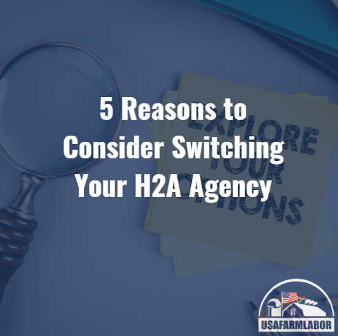 5 Reasons to Consider Switching Your H2A Agency