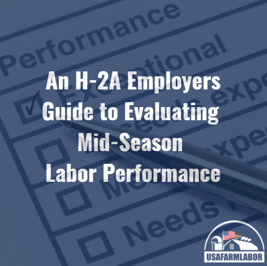 An H-2A Employer’s Guide to Evaluating Mid-Season Labor Performance