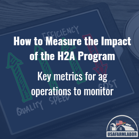 How to Measure the Impact of the H2A Program: Key Metrics for Ag Operations to Monitor