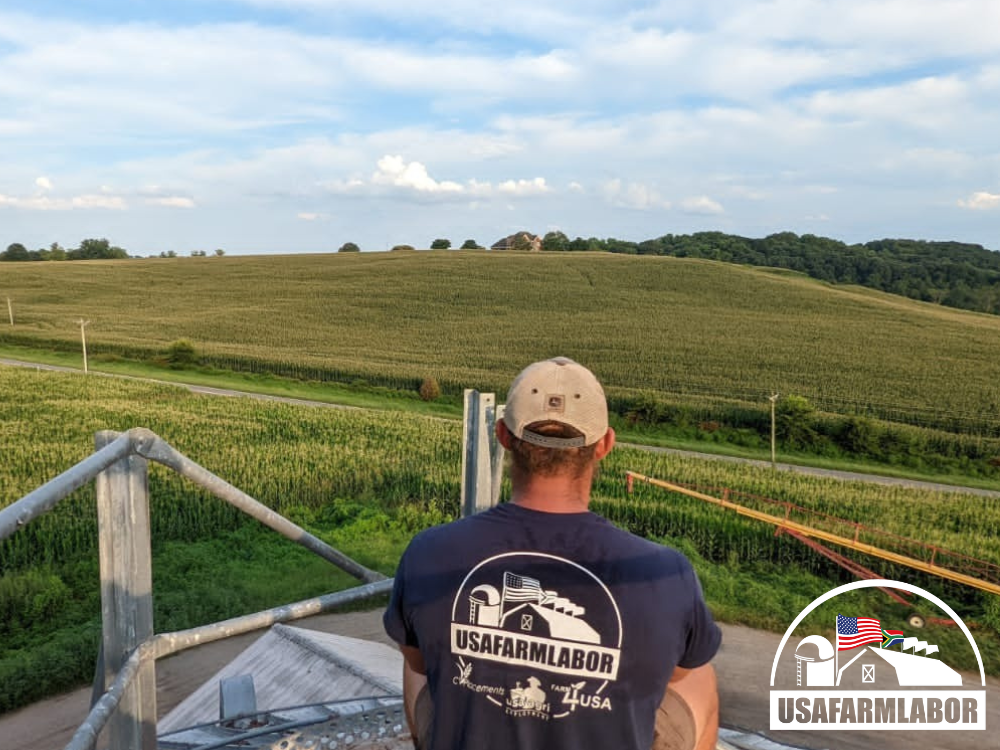 image of a USA Farm Labor H2A worker looking at a farm field