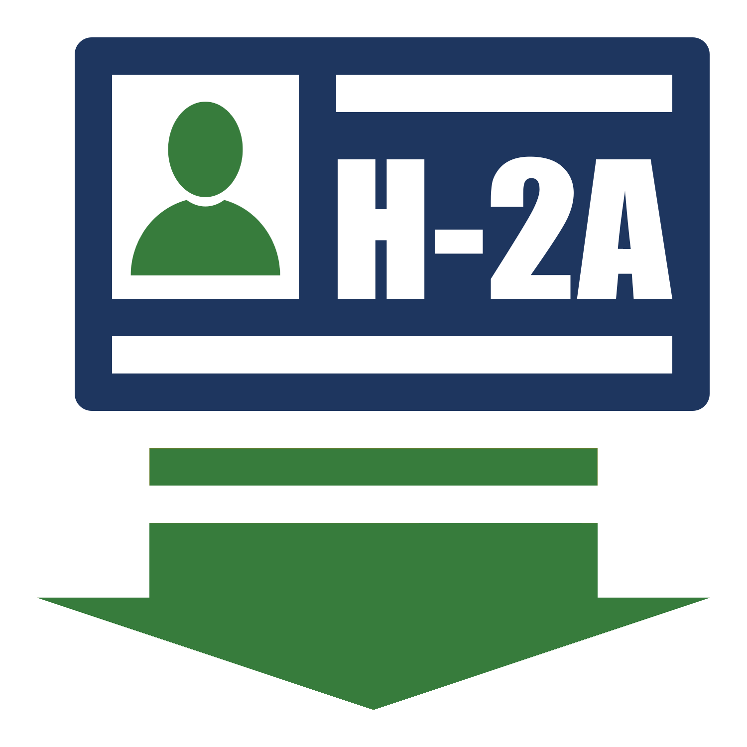 A driver's license with a green silhouette of a person, the code H-2A, and a downward arrow.