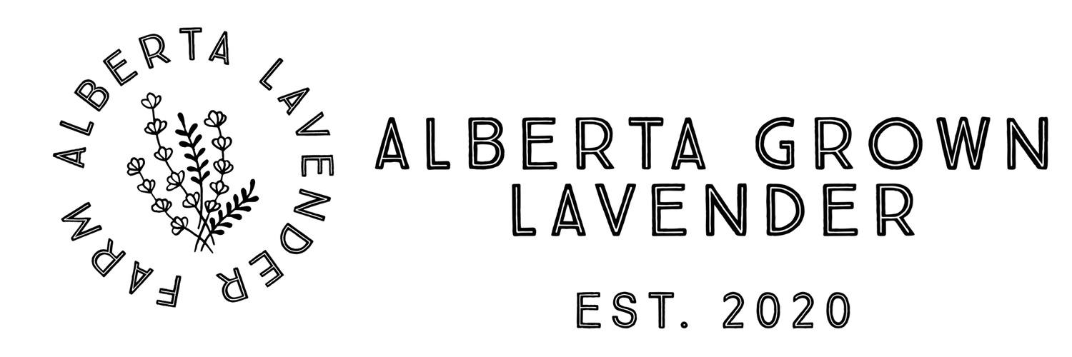 Alberta Lavender Farm
