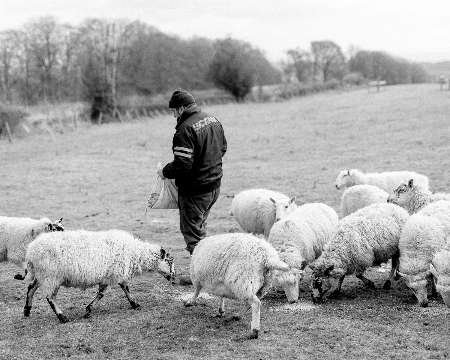 hergest ridge_8web.jpg