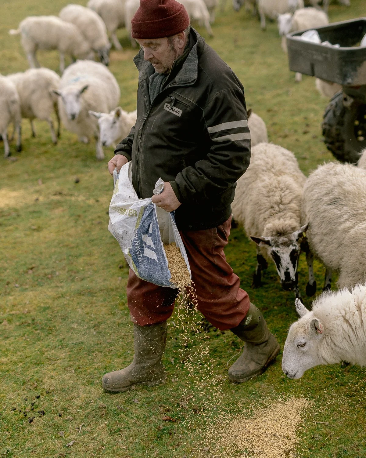 hergest ridge_4web.jpg