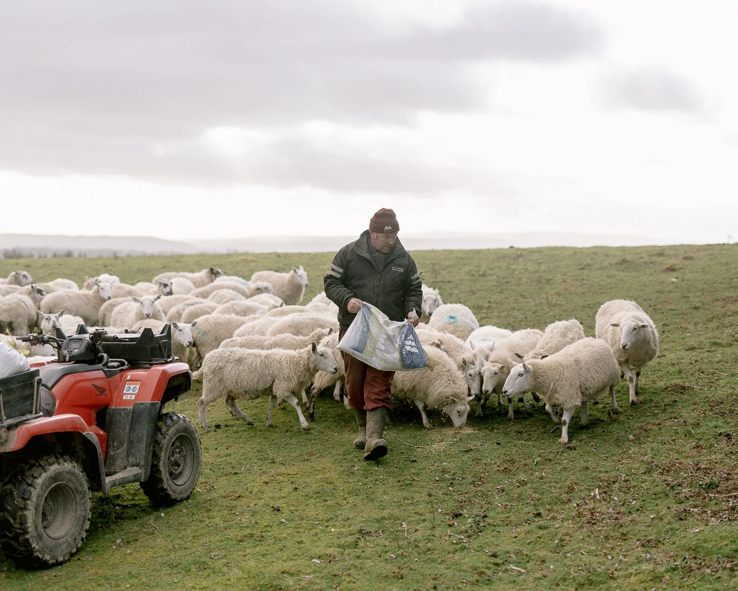 hergest ridge_1web.jpg