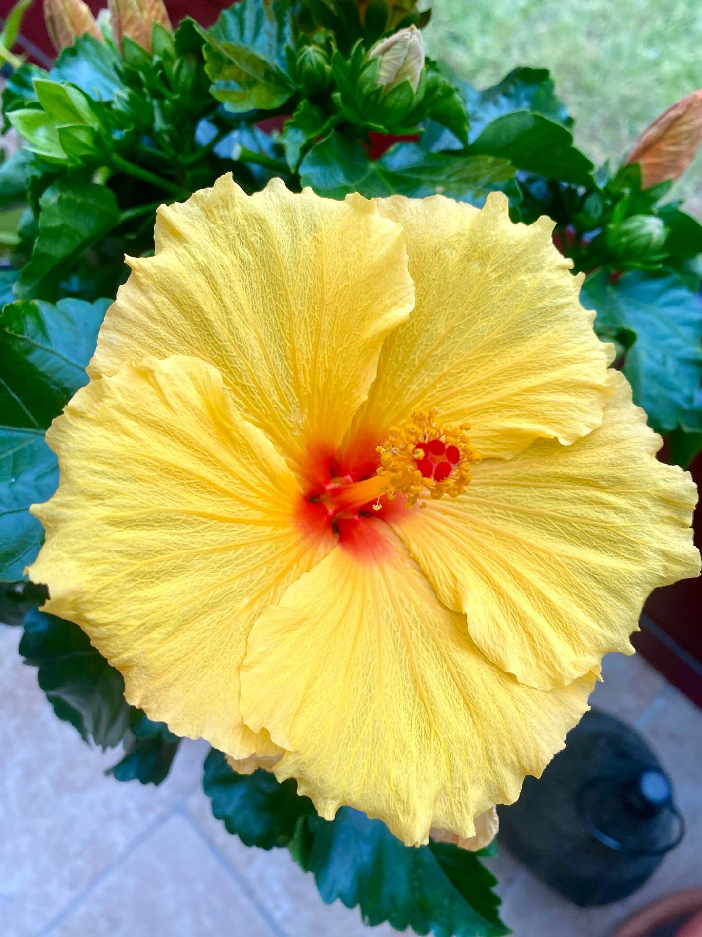 Tu es lumi&egrave;re. 
En permanence
Quoi que tu vives
Quelles que soient les ombres que tu penses porter dans ton sillage
Tu es lumi&egrave;re
Ne l&rsquo;oublie jamais
La vie, elle, n&rsquo;en doute pas 

#lumiere #foi #estimedesoi❤️ #divin #essence