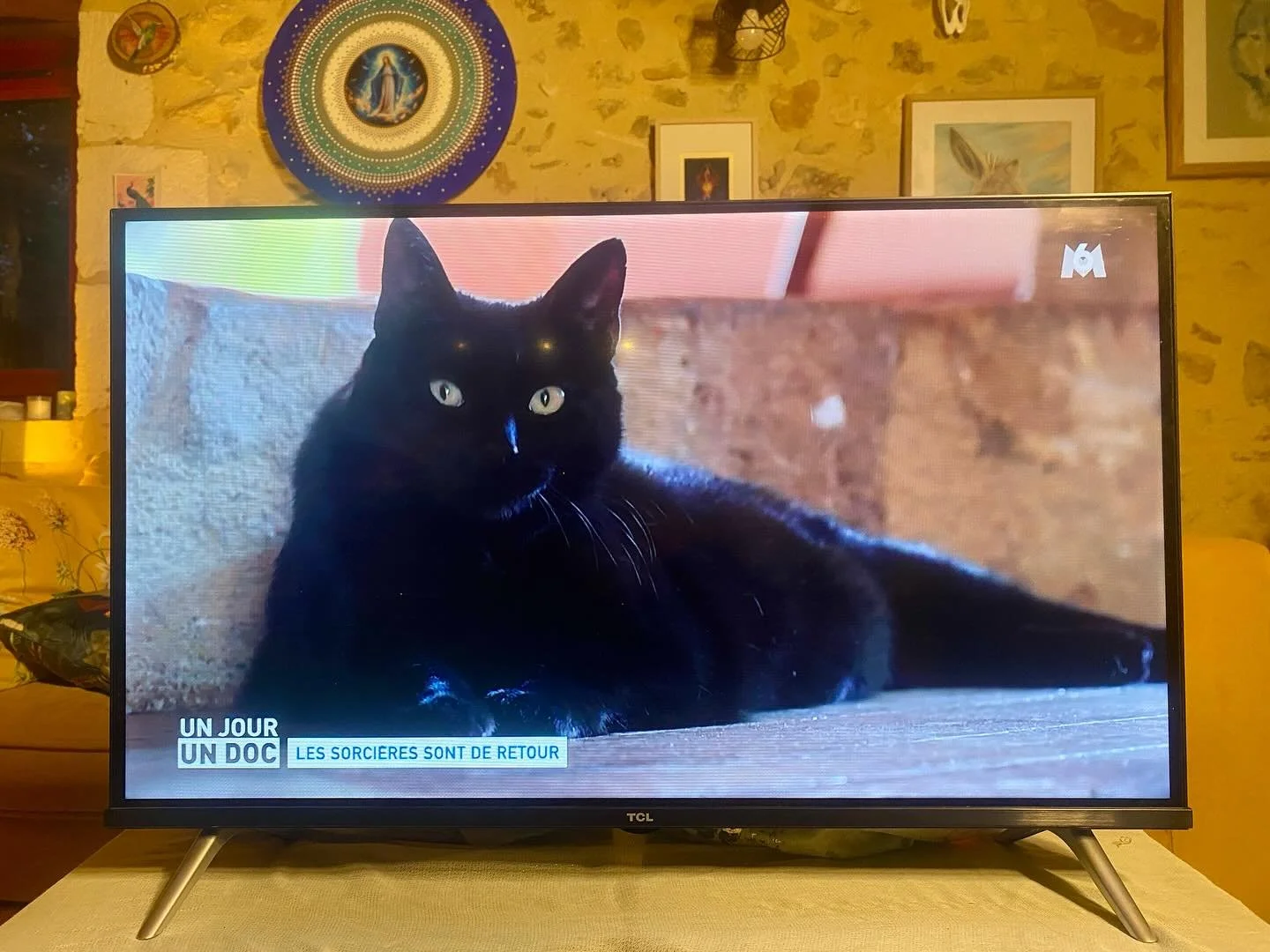 N&rsquo;est pas star qui veut ! 
5 chats 
Une seule cr&egrave;ve l&rsquo;&eacute;cran. Avec nonchalance. 
&laquo;&nbsp;Je re vois&nbsp;&raquo; 

Notre star Mina. 🤍✨

Le chat noir de la sorci&egrave;re blanche. Un rayon d&rsquo;amour pour tous les ch