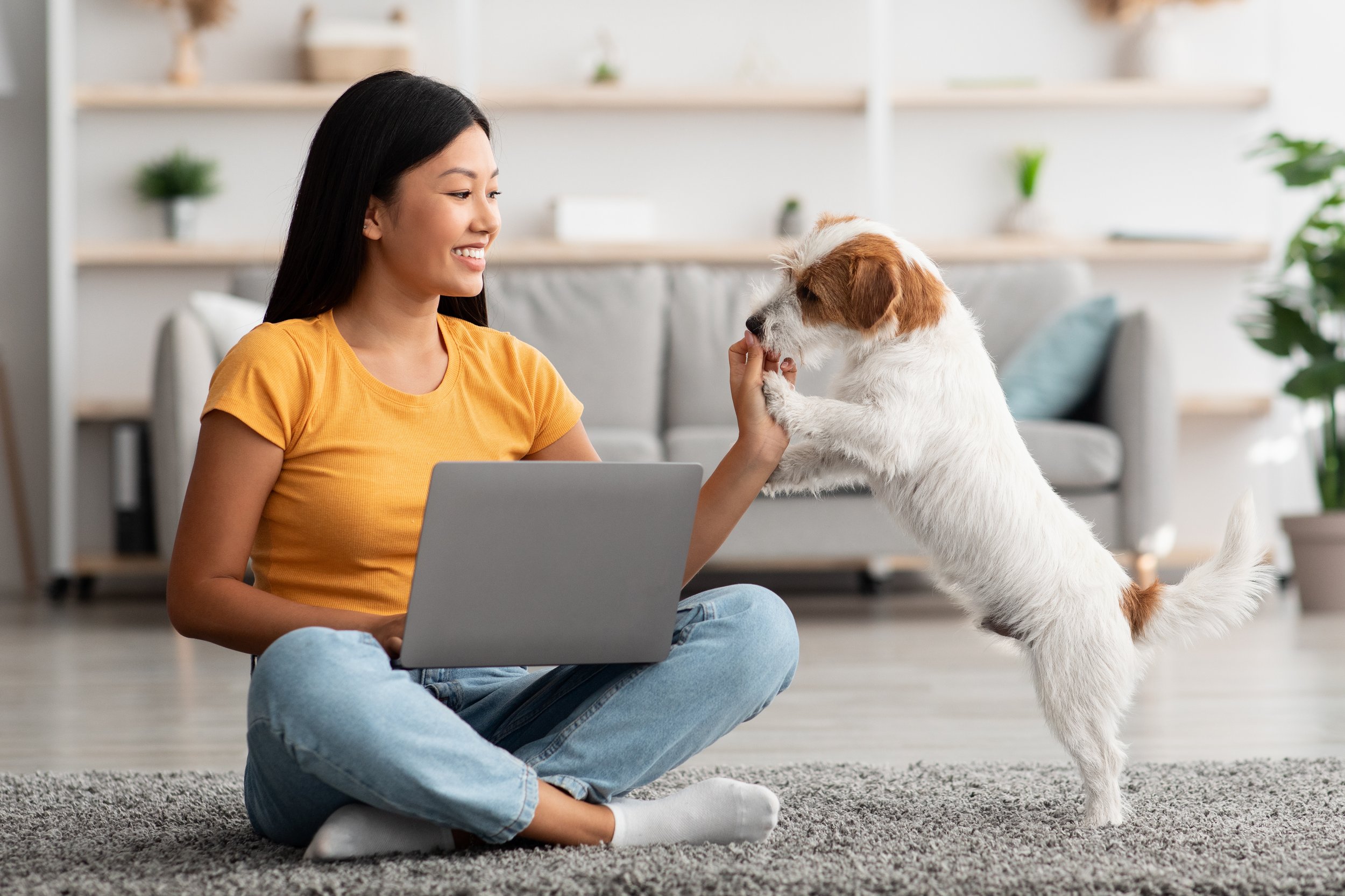 Puppy Classes Veterinarians Can Love