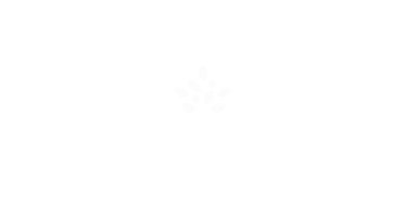Morrisons_375x200.png