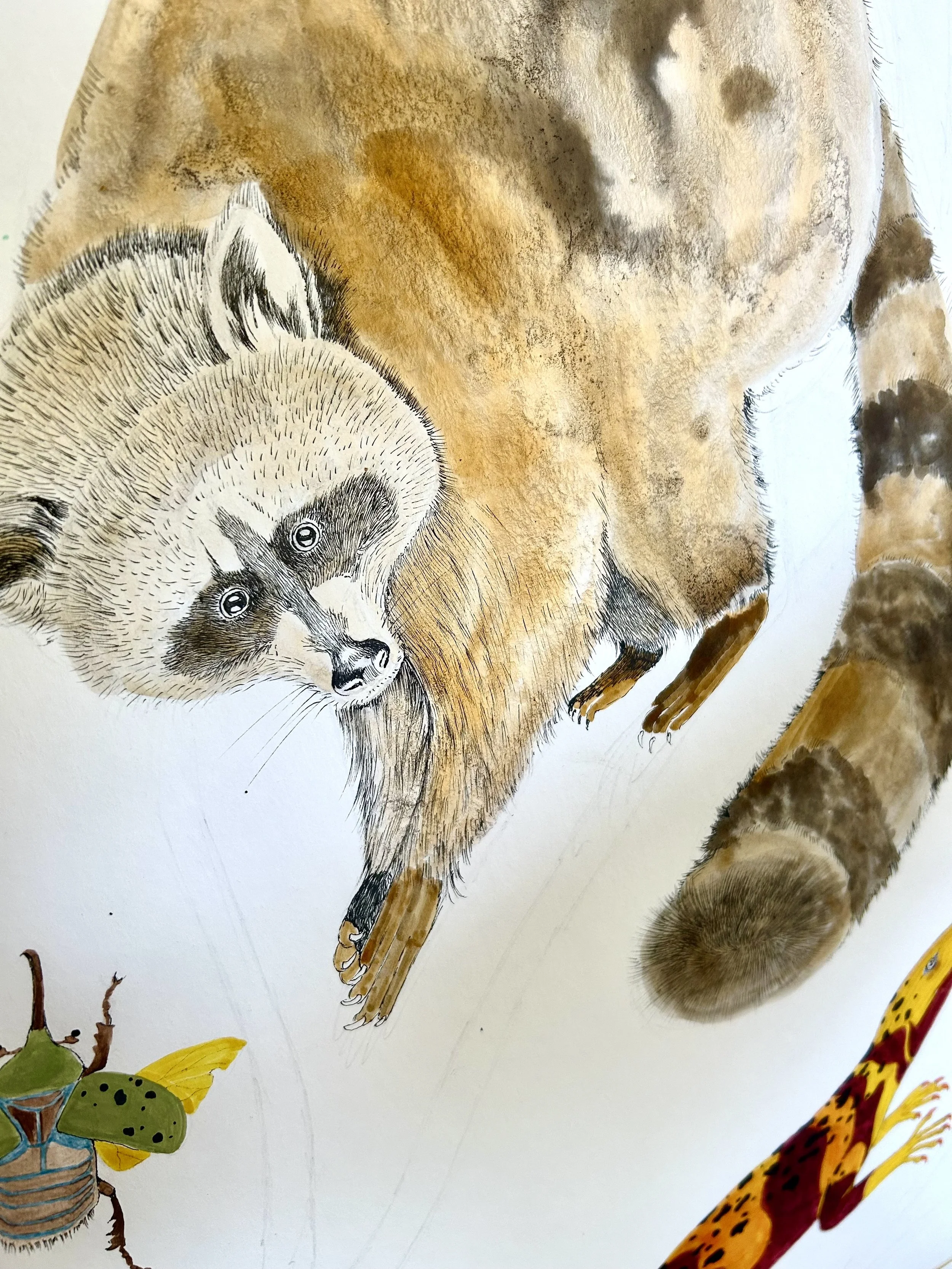 Illustrazione di una puzzola e parte di un altro animale, probabilmente una giraffa, visibile in basso a destra, con disegni dettagliati e colori realistici.