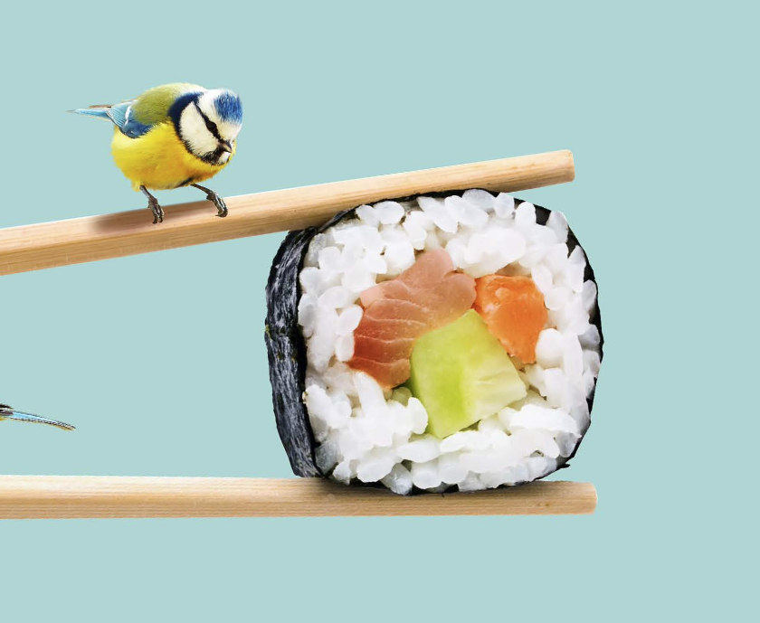 Picture of Old Apartment Texture: Background Images & Pictures