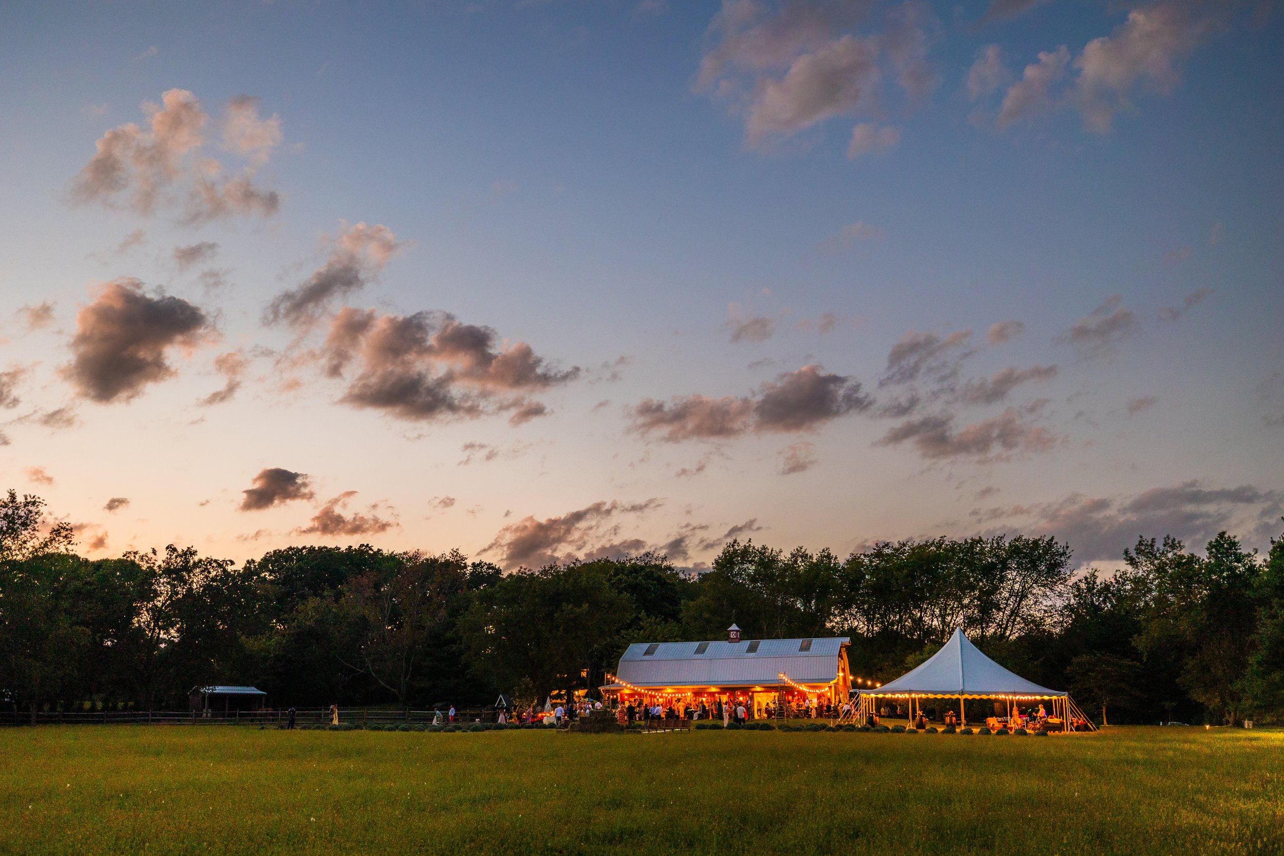 Outdoor event at sunset with a large white tent and a barn-style building decorated with string lights, on a grassy field surrounded by trees.