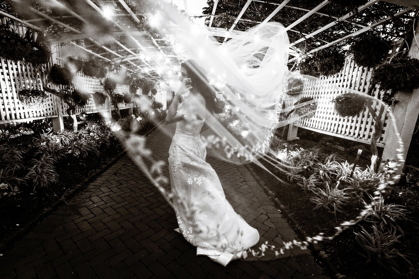 Blustery moments @bonnetislandestate #lbiphotographer #njweddingphotographer #bonnetislandestate