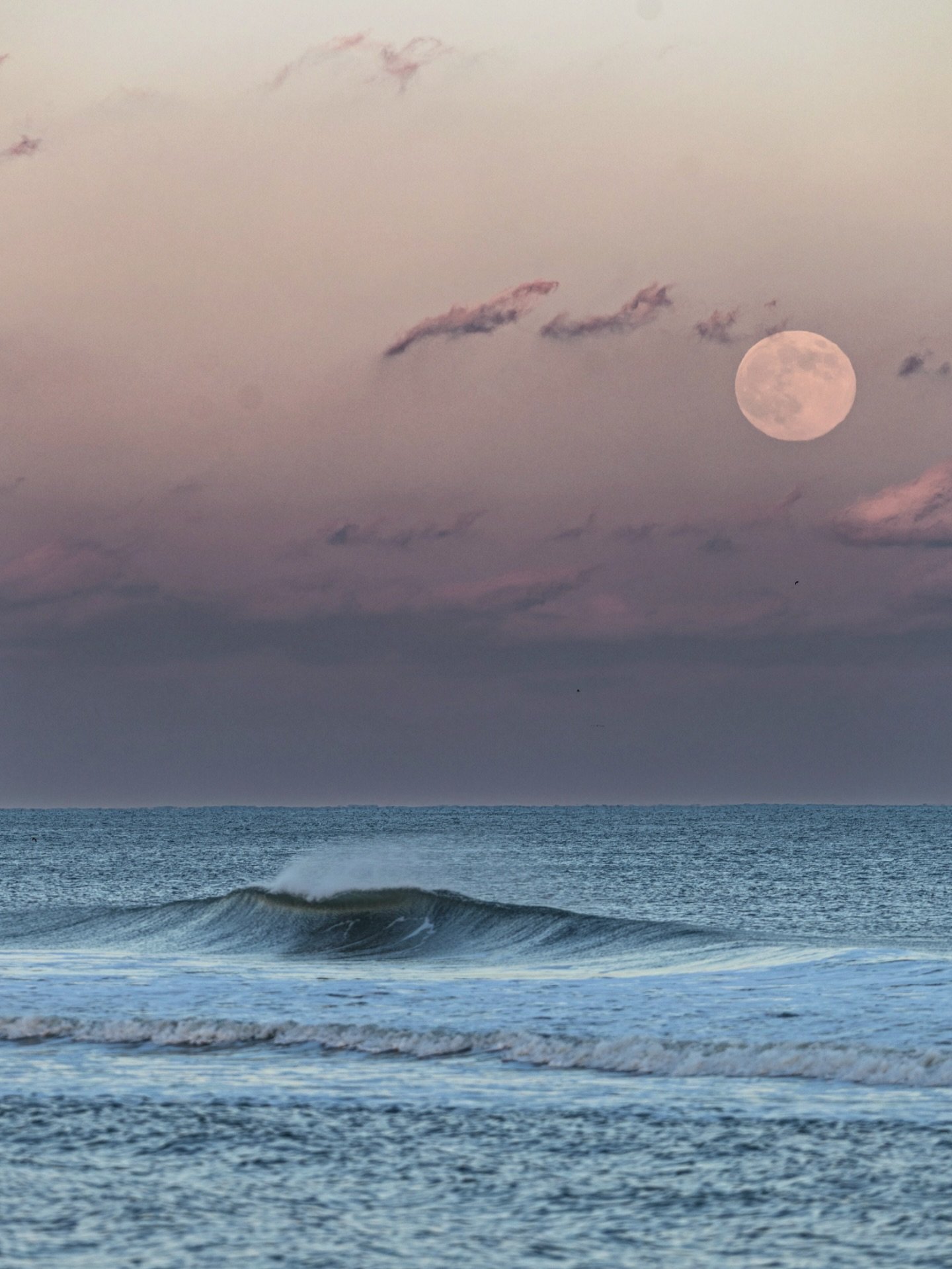 The Cold Moon was the last of 2025 ♊️ 🌕