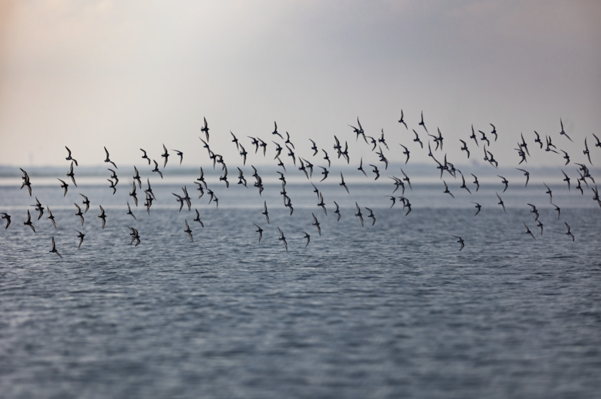 Ann Coen Studio’s Spring Events (And A Little Shout Out)