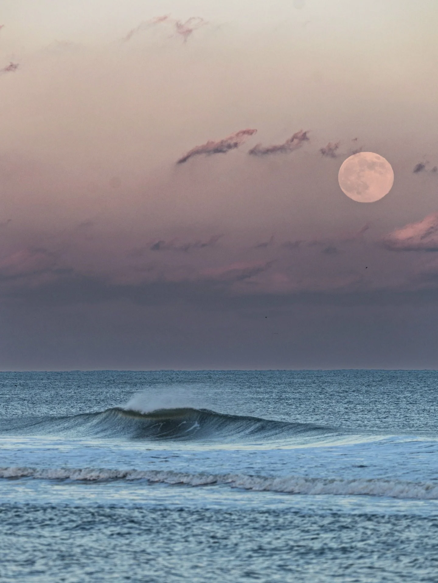 The Cold Moon was the last of 2025 ♊️ 🌕